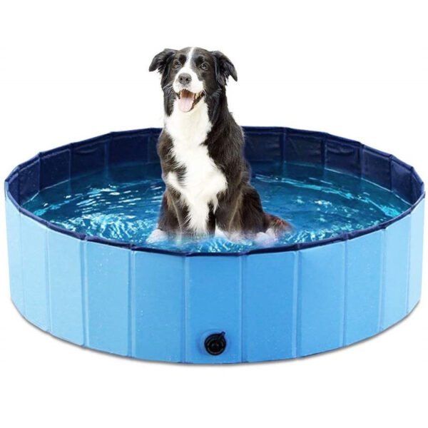 PISCINA PARA MASCOTAS