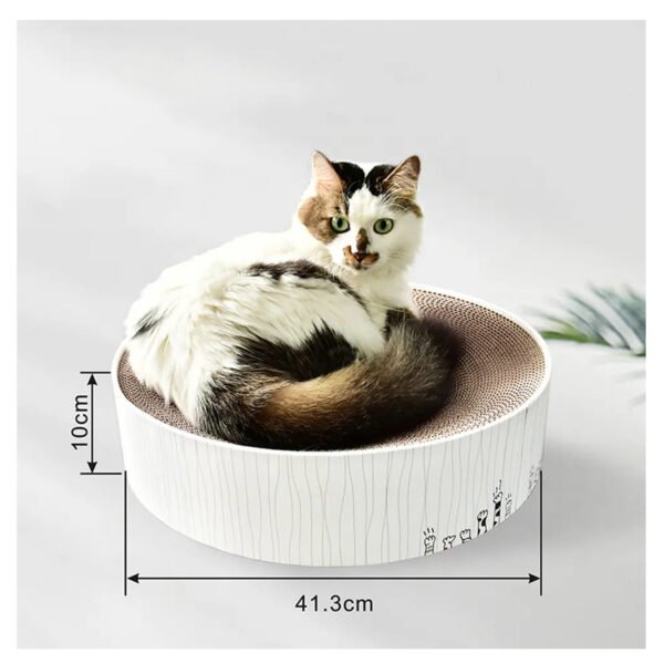 RASCADOR GATOS REDONTO