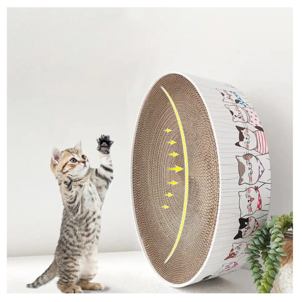 RASCADOR GATOS REDONTO