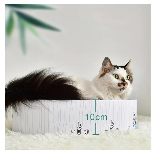 RASCADOR GATOS REDONTO